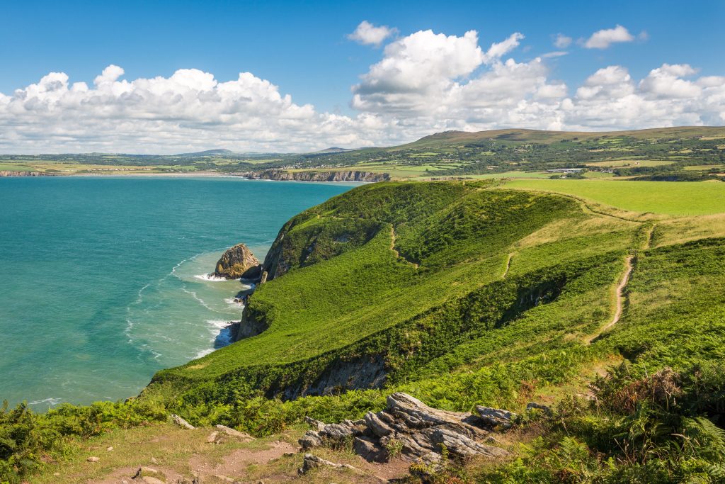 Needle Rock, Pembrokeshire Coast Path near Fishguard, Pembrokeshire Coast National Park