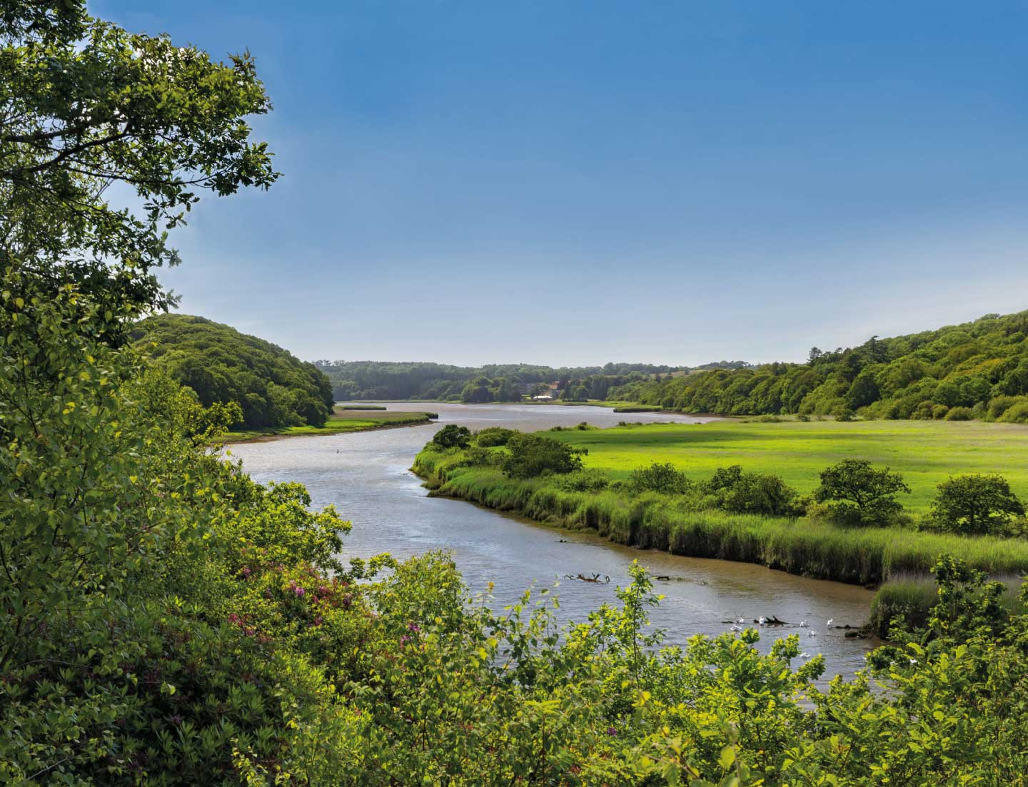 Minwear on the Daugleddau Estuary c