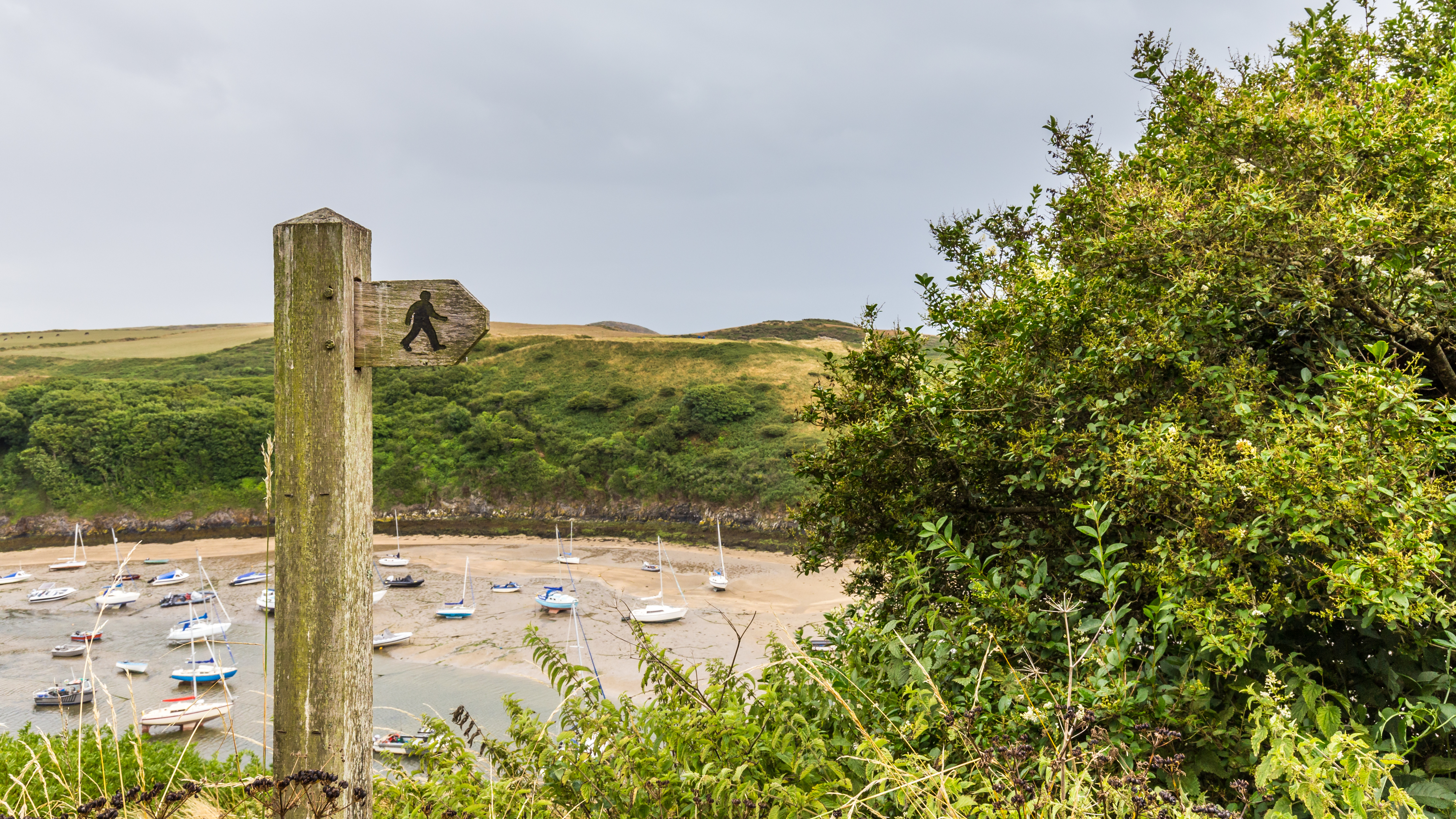 Wooden footpath sign with Solva Harbour in background