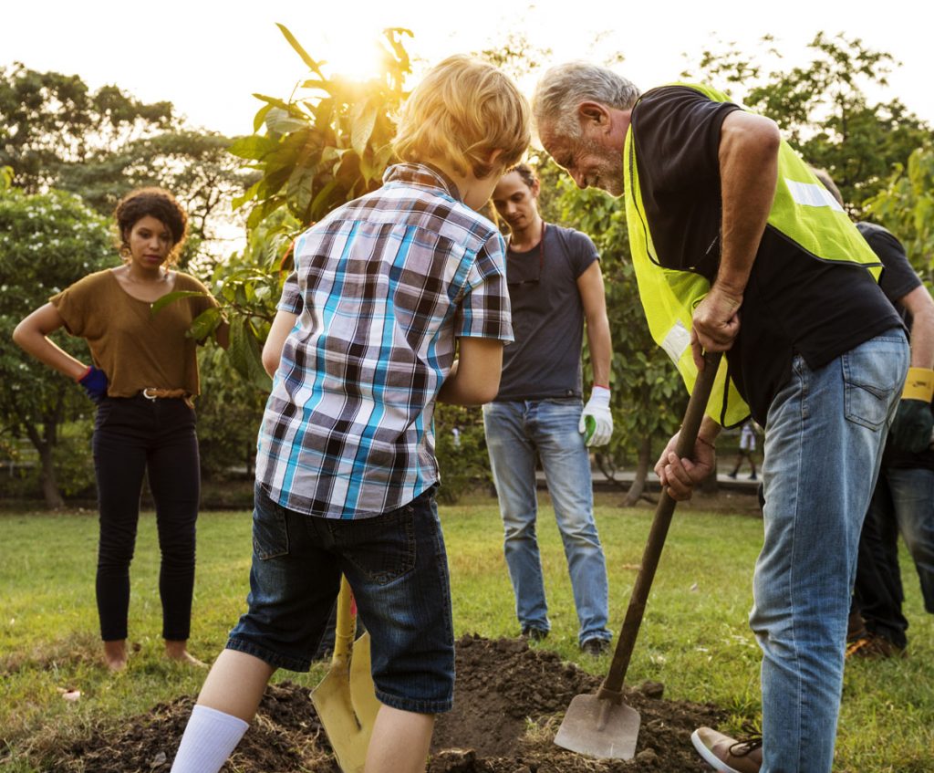 Group of people plant a tree together outdoors