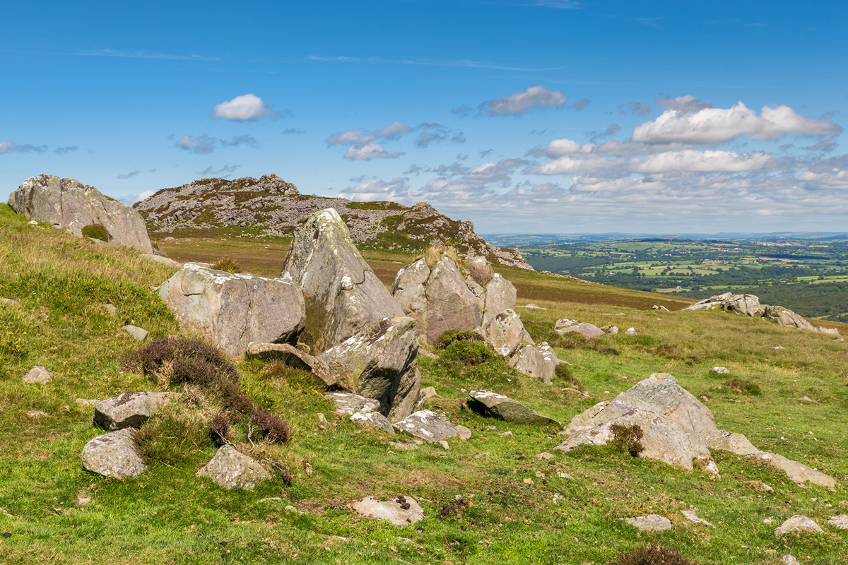 View from Carn Ingli to Ty Canol woods