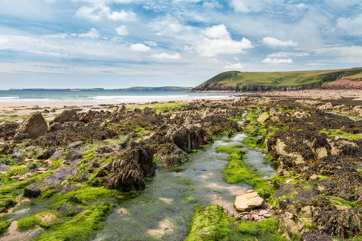 Wave-cut platform geological formation on the beach at Manorbier