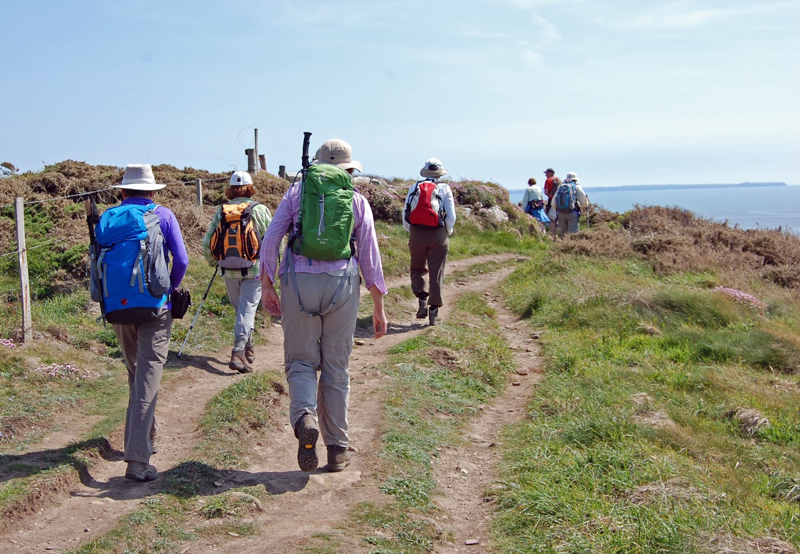 Group of walkers on St Davids Head