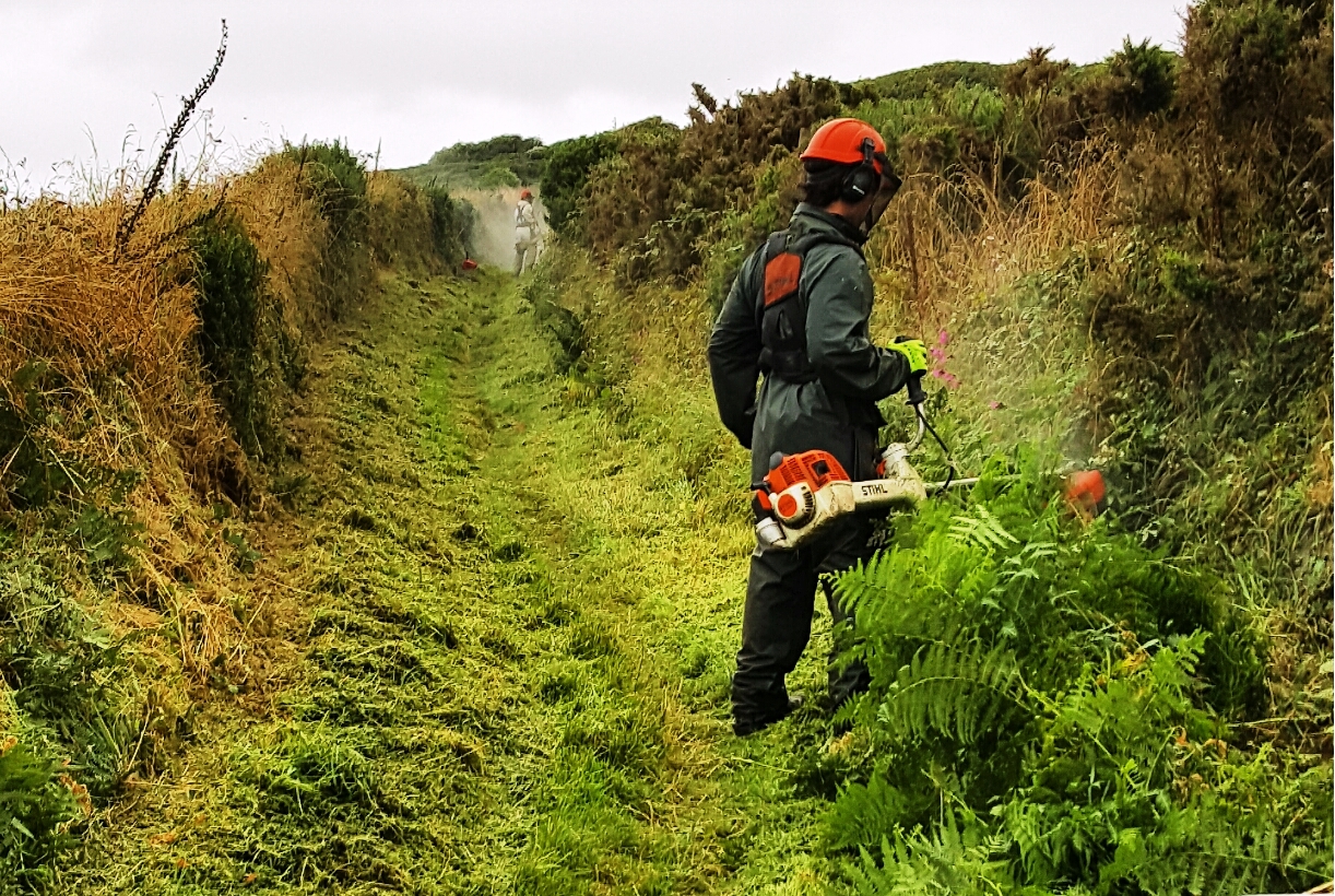 Nartional Park Authority Warden cutting vegetation on the Pembrokeshire Coast Path