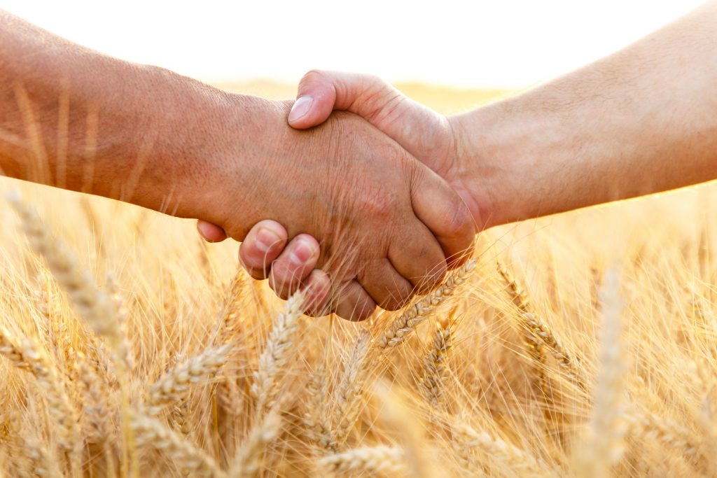 Handshake in wheat field