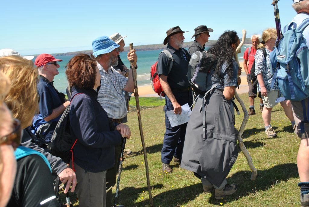 Volunteer guided walk on the Castlemartin Range, Pembrokeshire Coast National Park, Wales, UK