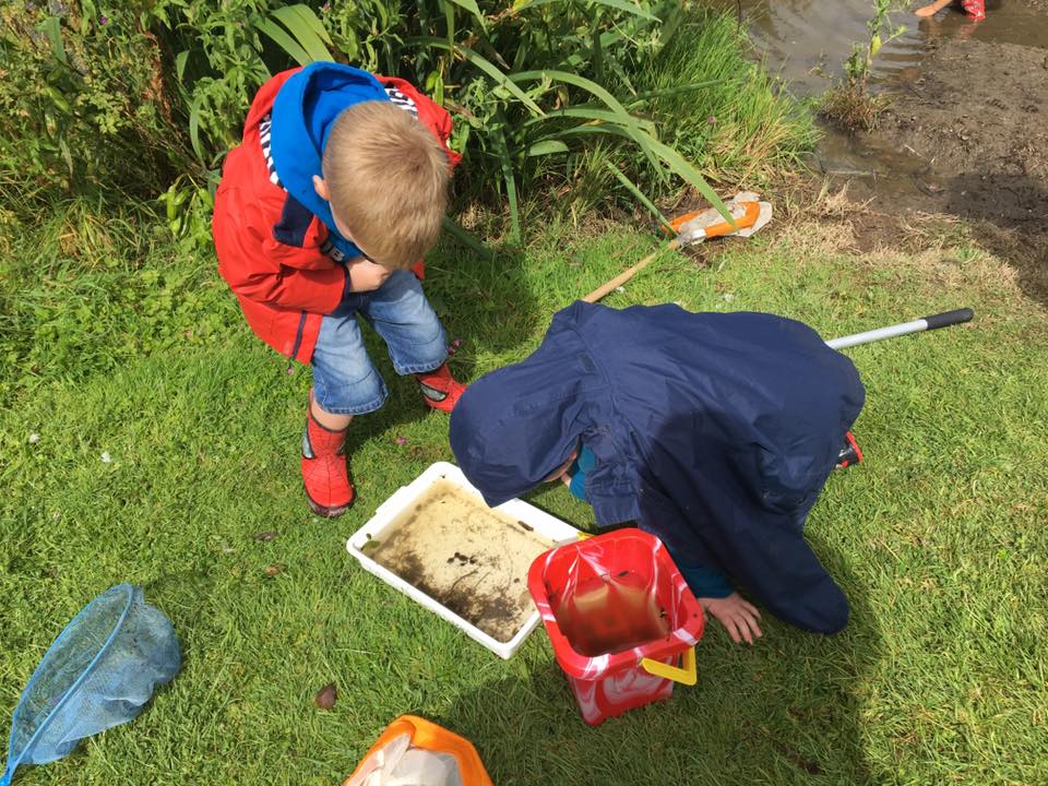 Pond dipping at Llwyngwair Manor Holiday Park, Pembrokeshire, Wales UK as part of the Naturally Connected Project