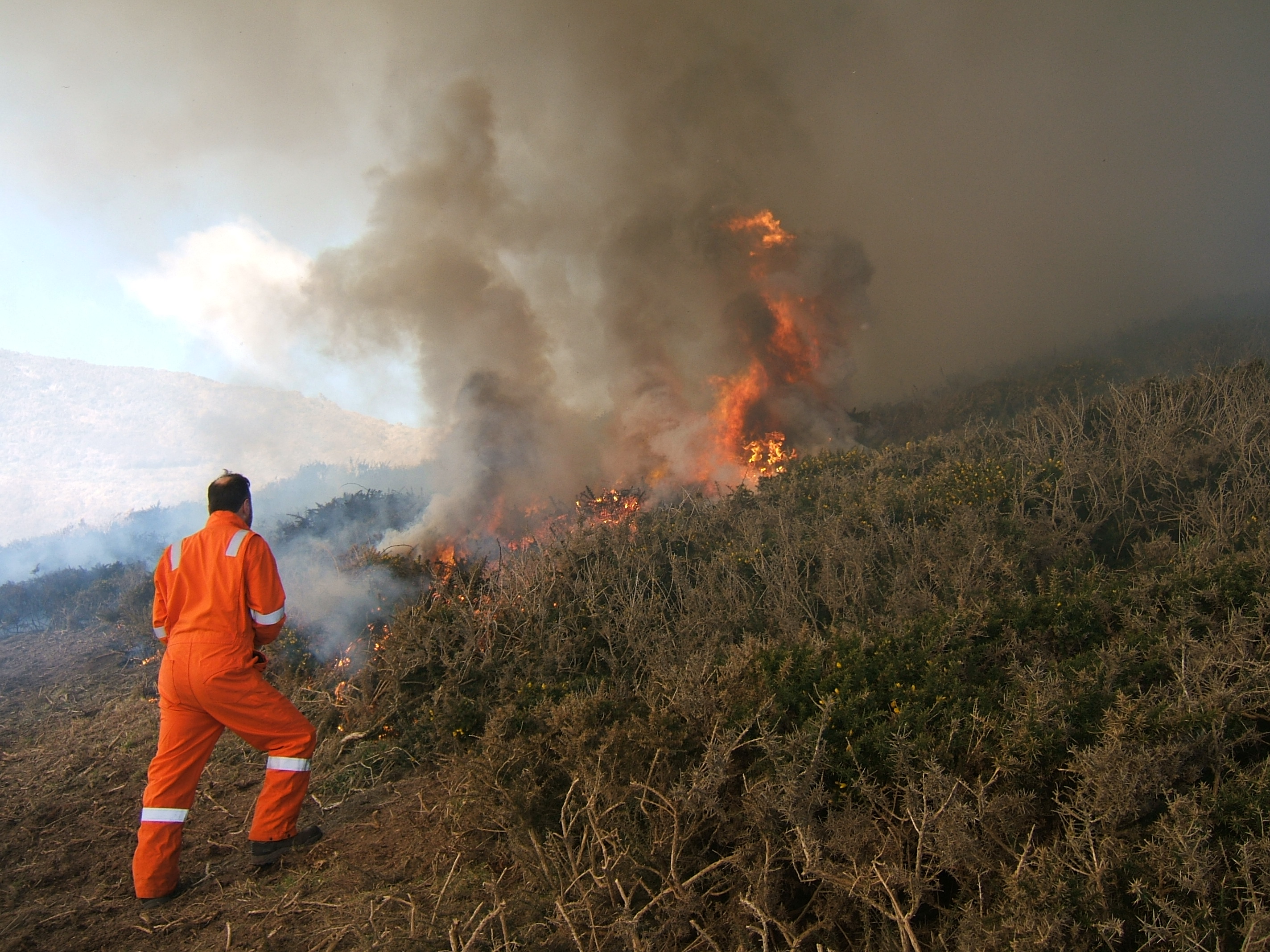 Controlled burn at Tresinwen