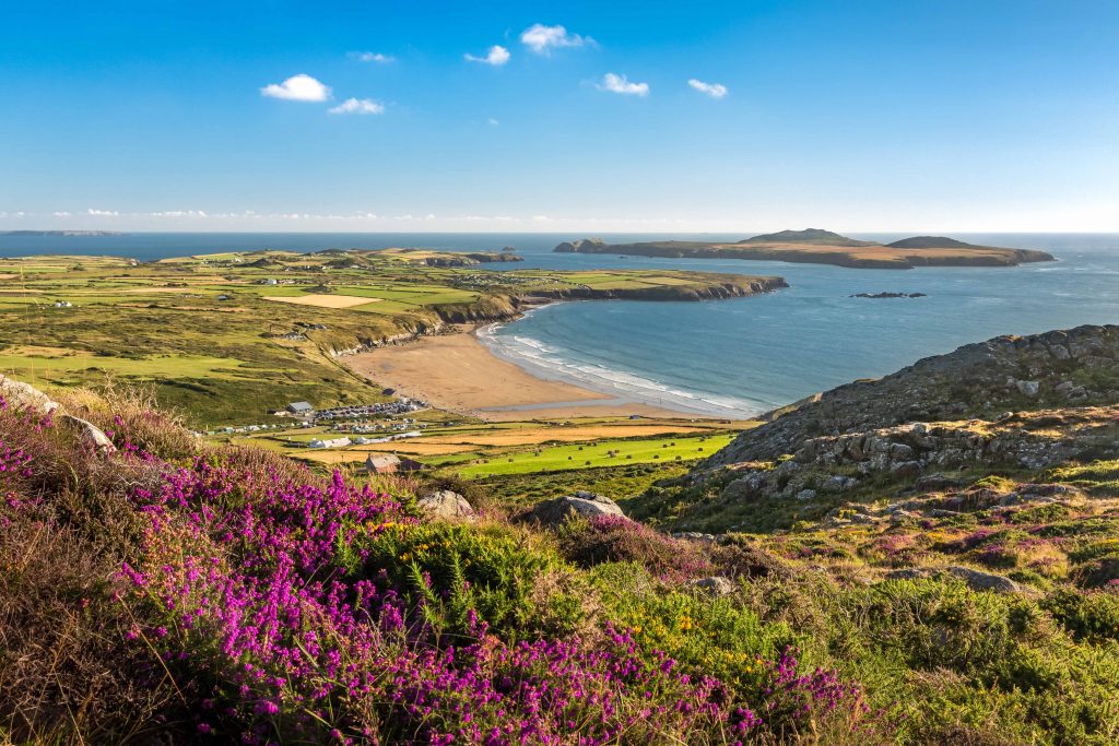 View across Whitesands Bay to Ramsey Island to Carn Llidi, Pembrokeshire Coast National Park, Wales, UK