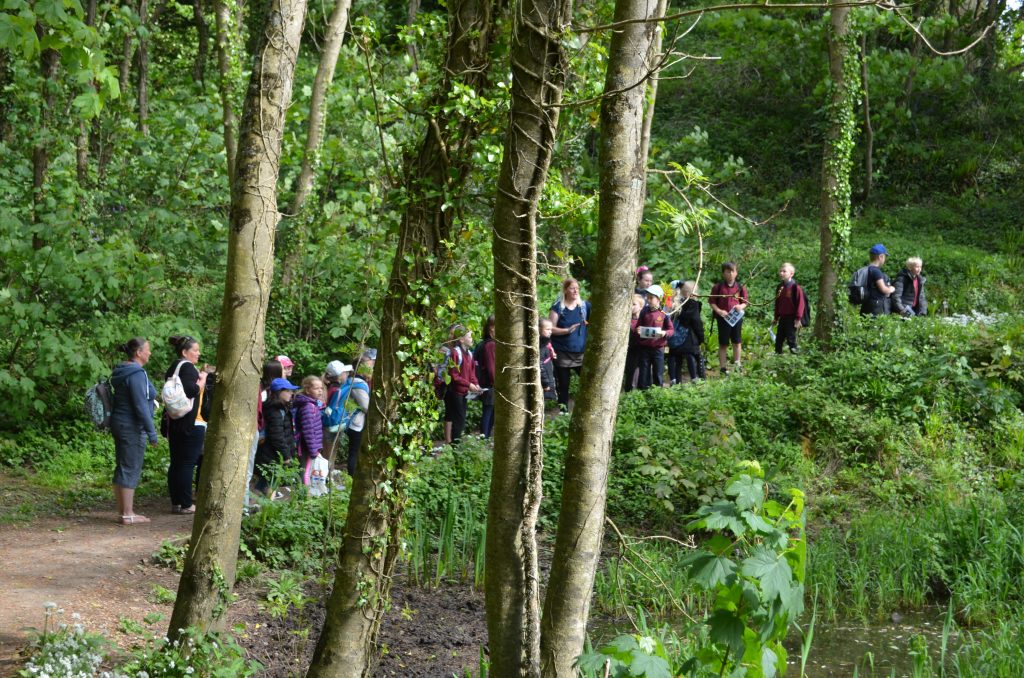 Primary school pupils pond dipping at Stackpole