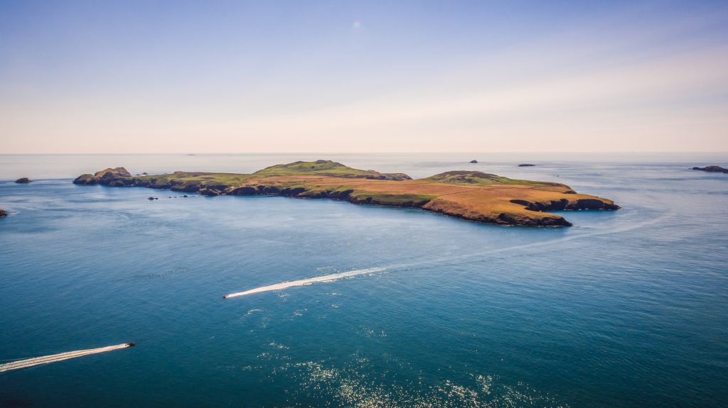 Ramsey Island in the Pembrokeshire Coast National Park, Wales, UK