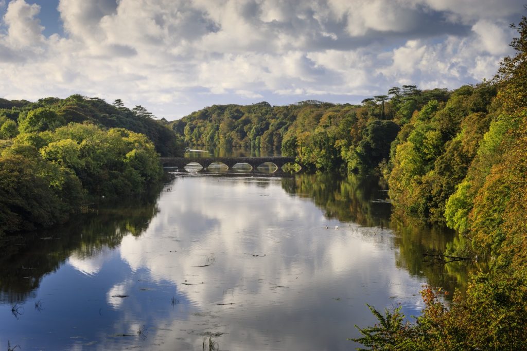 Bosherston Lily Ponds, Pembrokeshire Coast National Park, Wales, UK