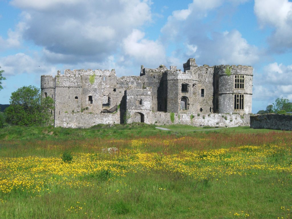 Wildflowers growing at Carew Castle, Pembrokeshire Coast National Park, Wales, UK