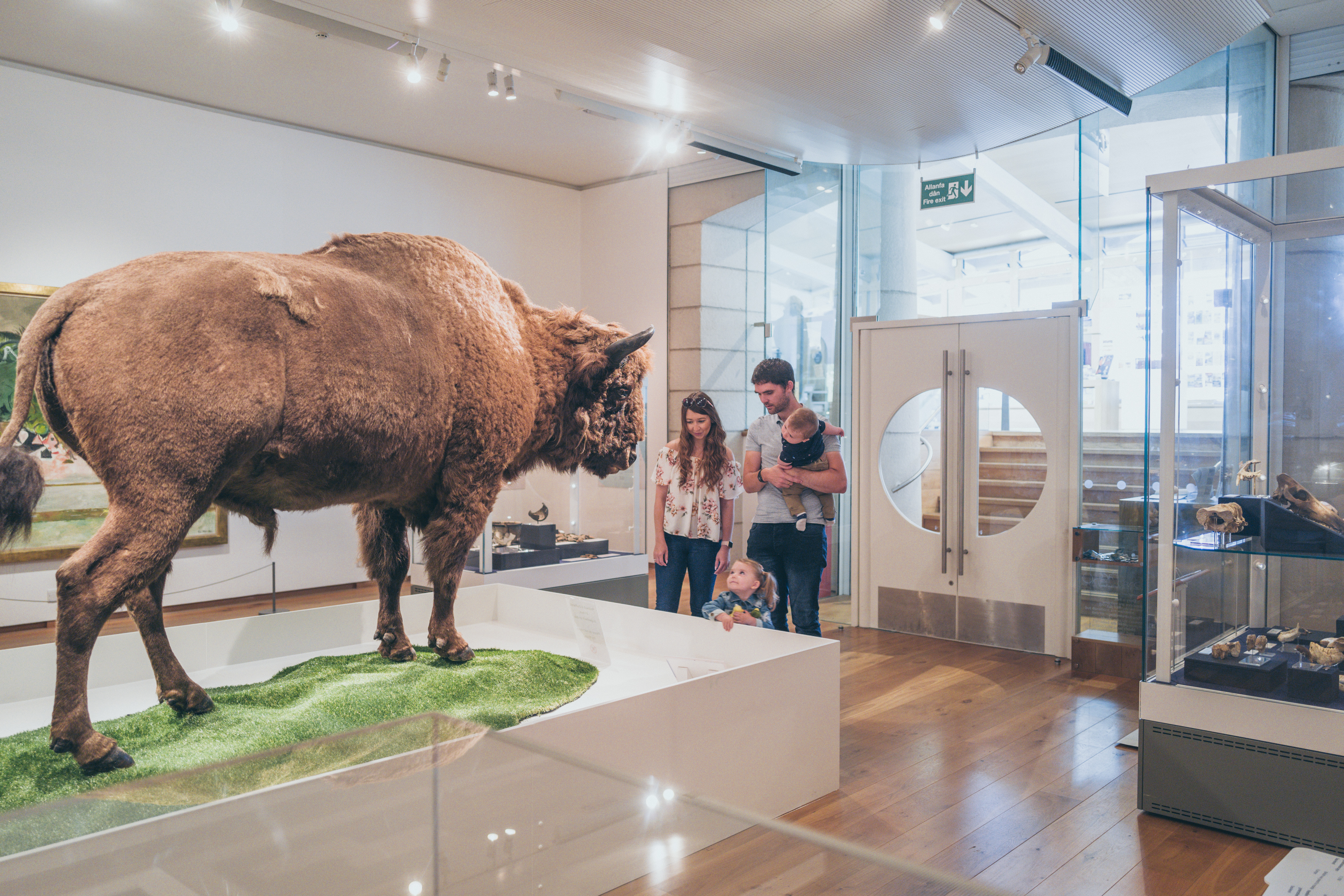 Stones and Bones exhibition at Oriel y Parc Gallery and Visitor Centre, St Davids