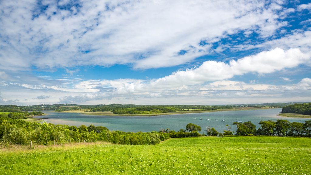 Confluence of Cresswell and Carew Rivers