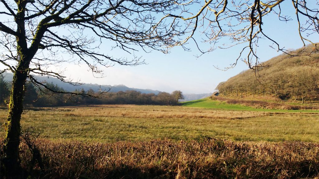 Gelli Fawr Walk