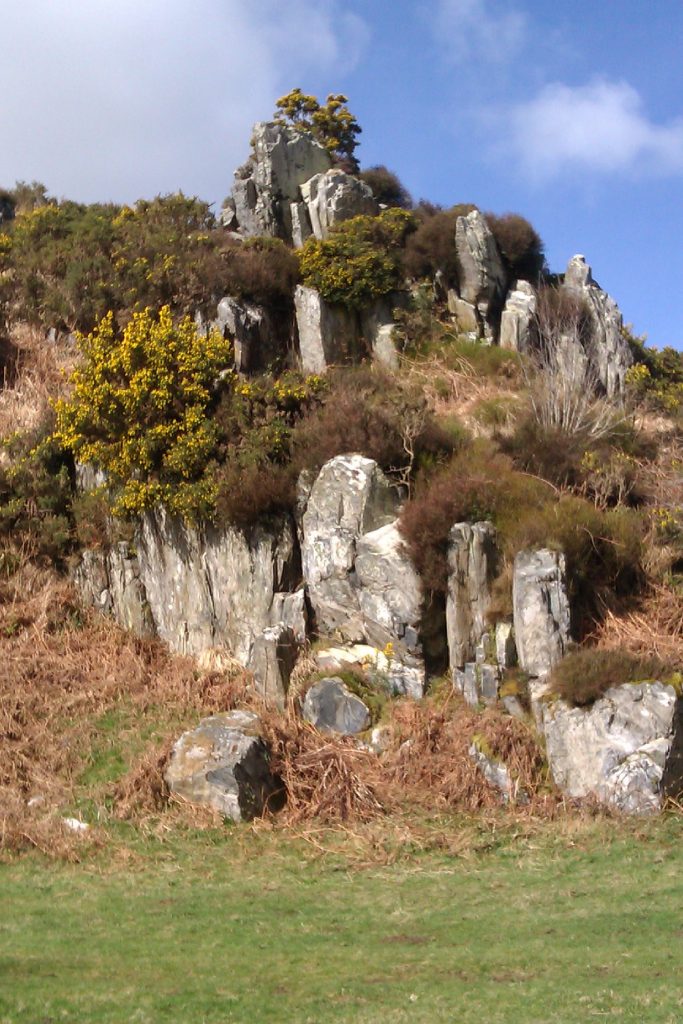 Craig Rhosyfelin, Preseli Hills