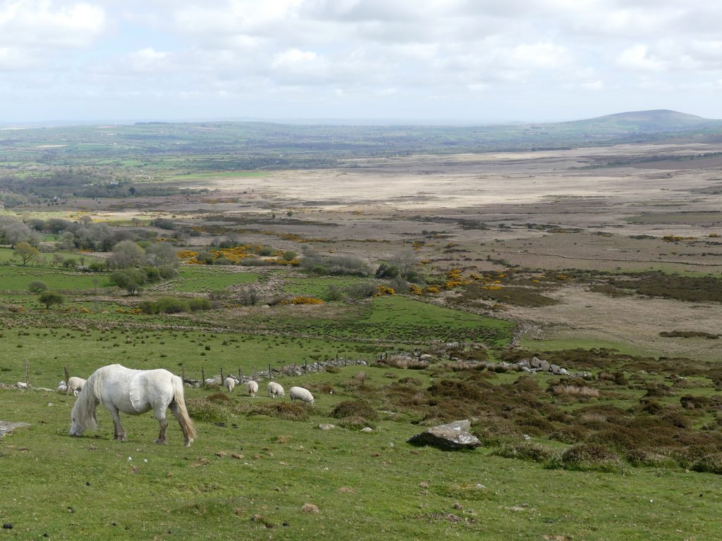 Brynberian, Pembrokshire Coast National Park