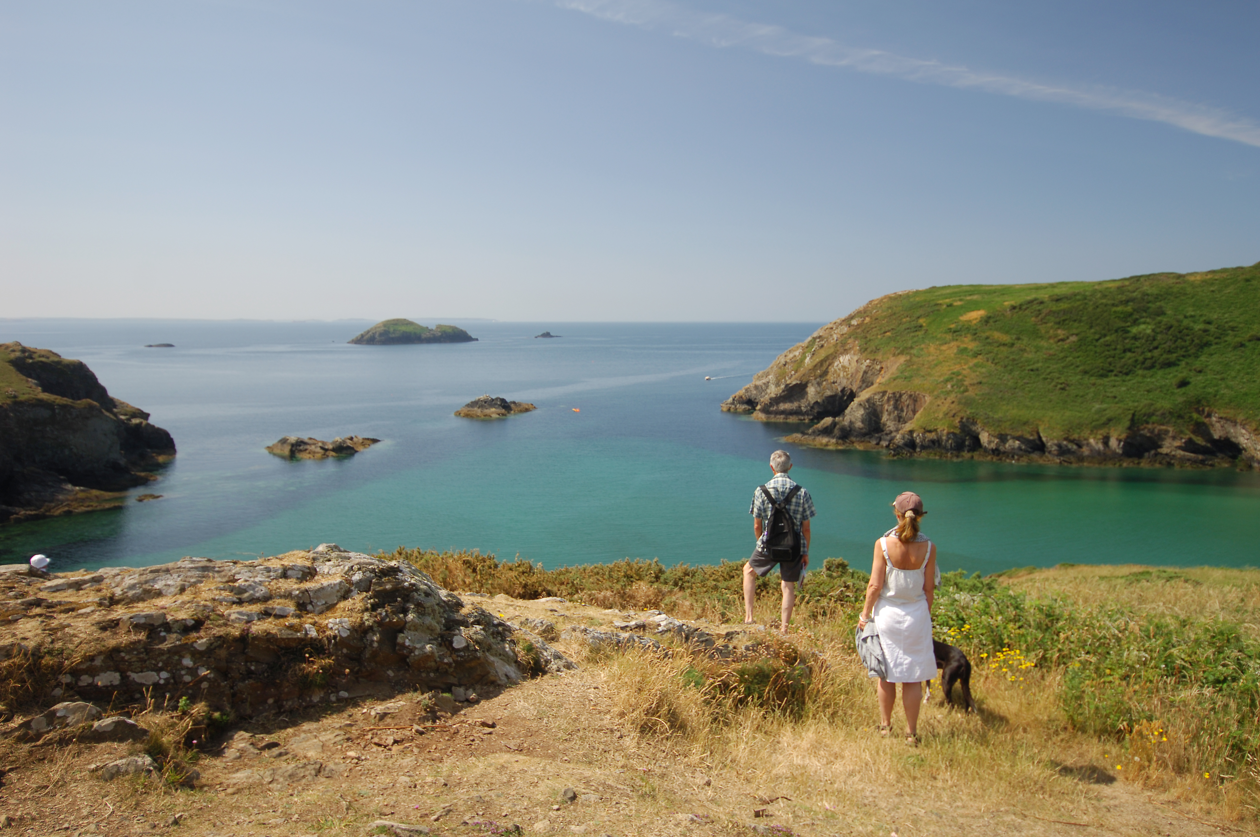 The Gribyn, Solva