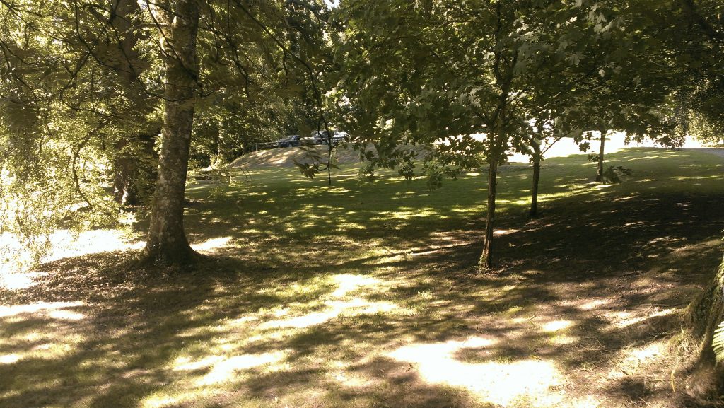 Upton Castle grounds
