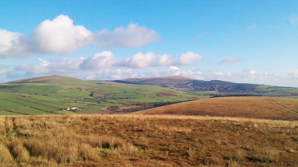 Rosebush from Mynydd Castlebythe