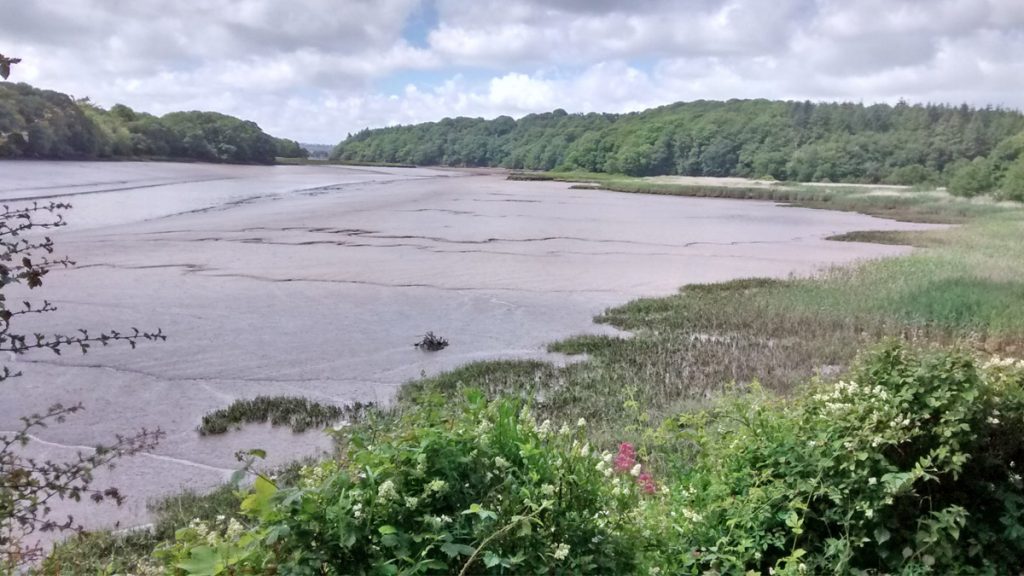 Slebech Park, Daugleddau Estuary