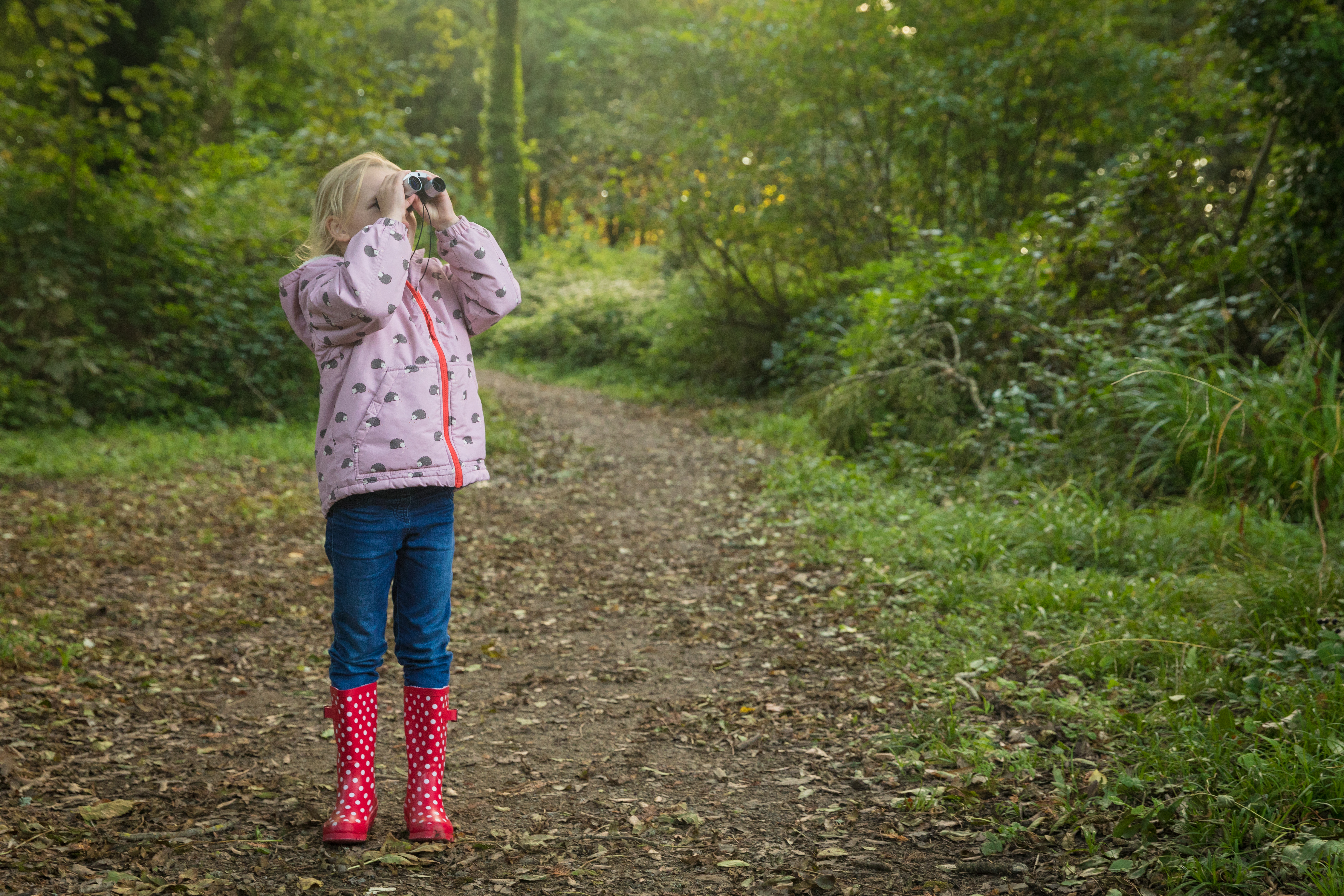 Listening to the dawn chorus in the Pembrokeshire Coast National Park