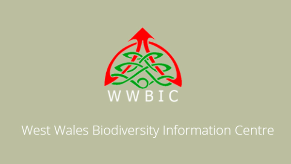 West Wales Biodiversity Information Centre (WWBIC) Logo