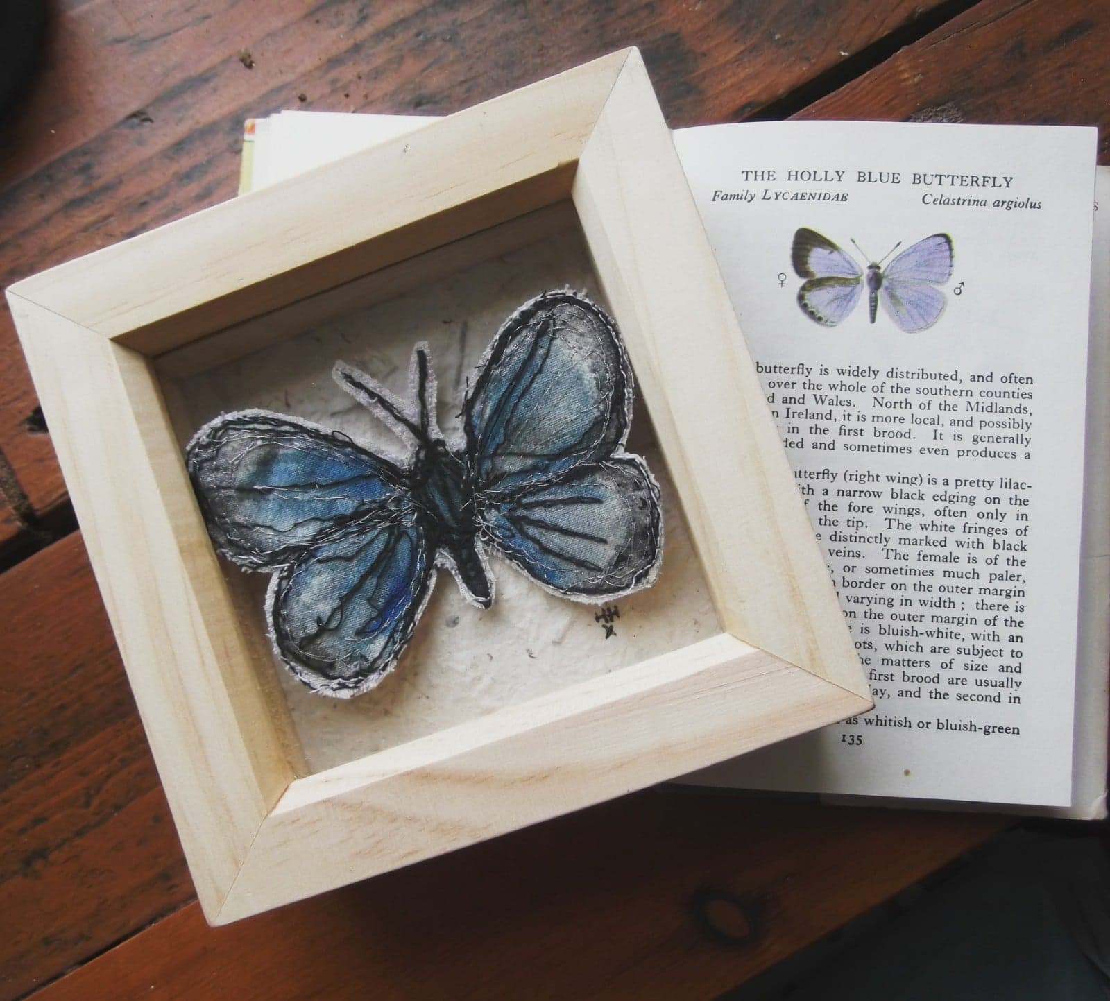 Work by Pembrokeshire based illustrator and textile artist, Holly Hart