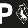 Image featuring the letter P (to signify parking) next to an outline of the Pembrokeshire Coast National Park logo (featuring a razorbill sitting on a rock inside diamond outline.