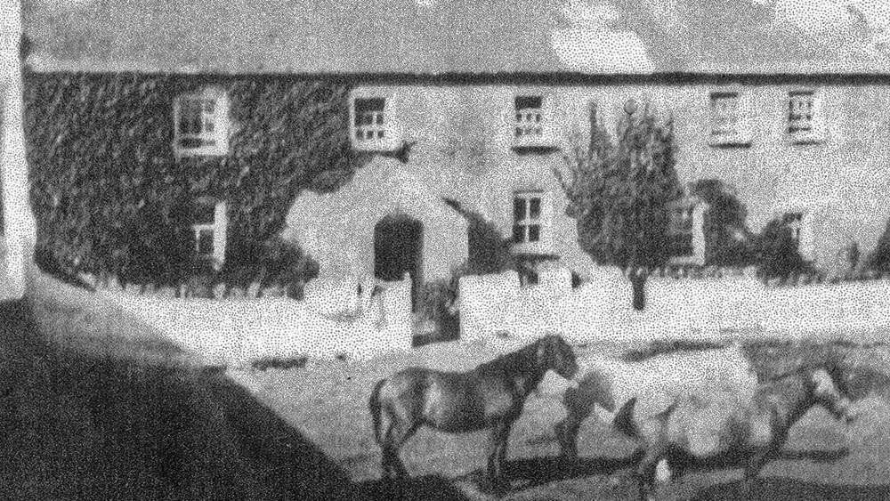 Black and white photograph of a farmhouse with horses outside