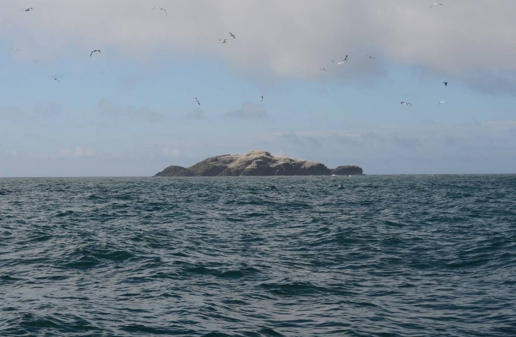 Rocky island viewed from the sea
