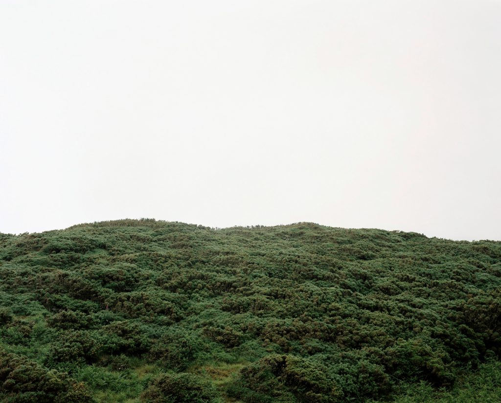 Eithin Gwyrdd, Ffynnonofi, Parc Cenedlaethol Arfordir Penfro, Cymru 2004