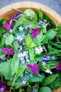 Foraged leaves and flowers in a wooden bowl