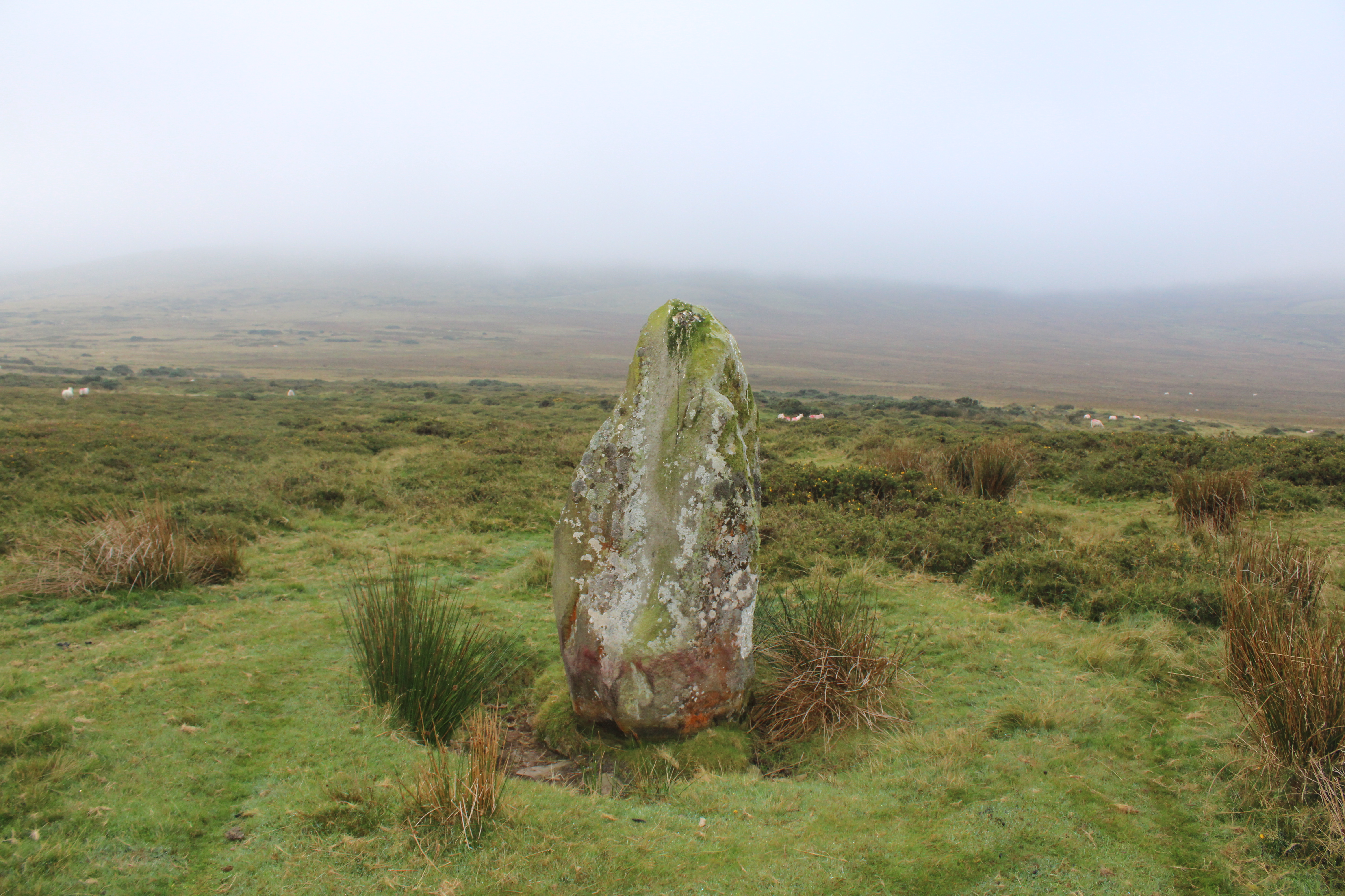 Grey stone protruding from a yellow grassy field with sweeping hills in the background