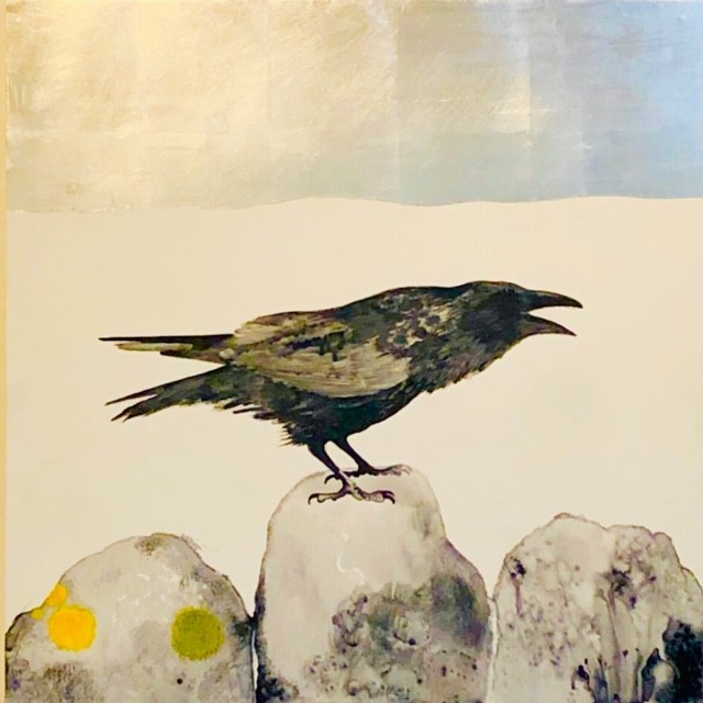Image of Bird on Rock