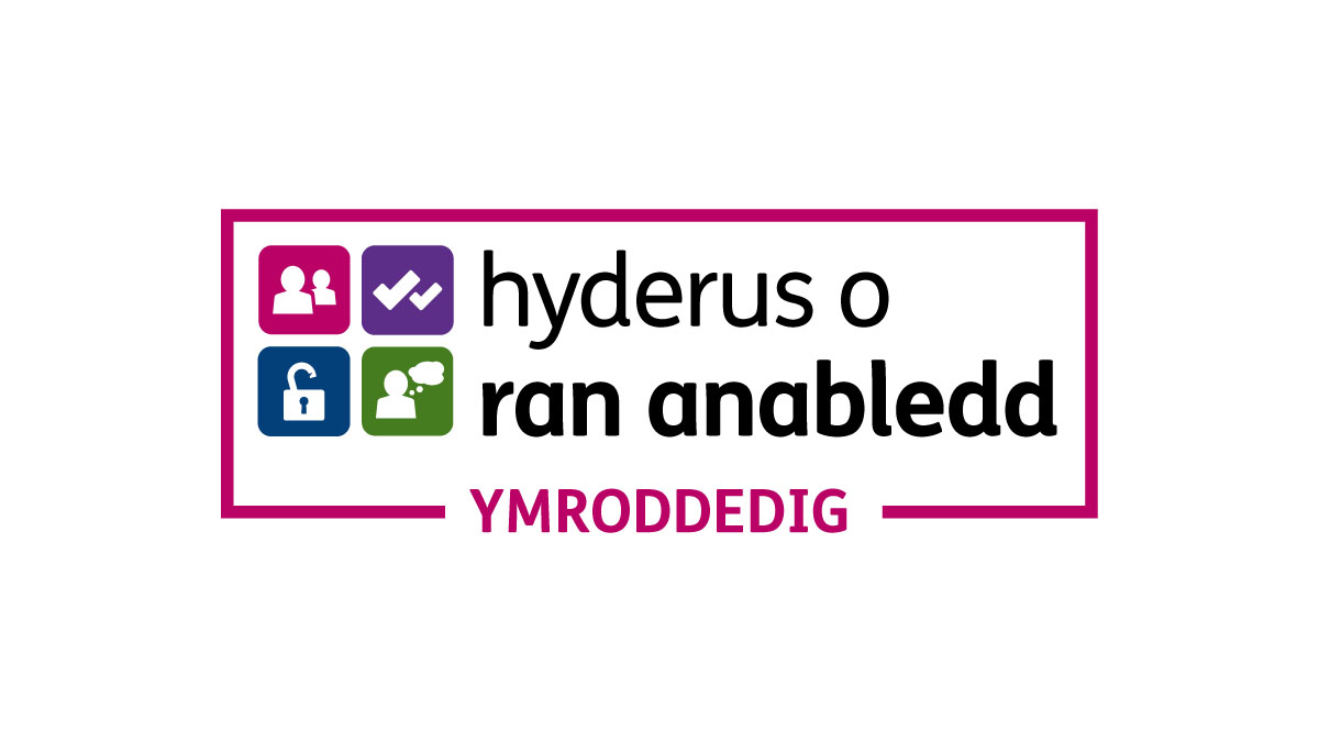 Welsh language version of the logo that reads Hyderus o ran Anabledd Ymroddedig in English 'Disability Confident Committed'