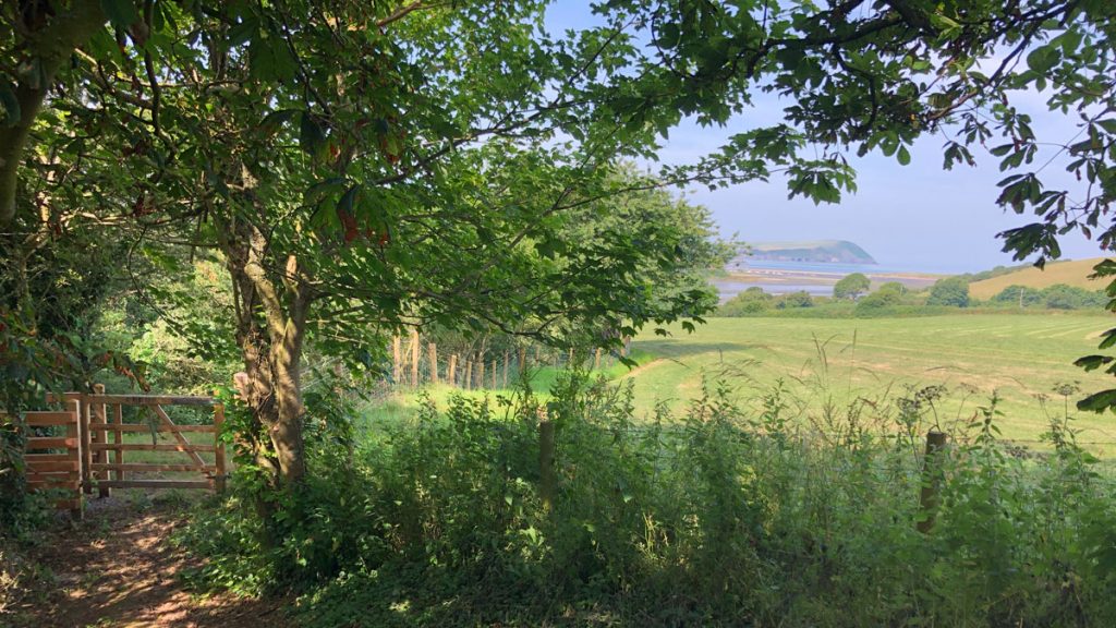 A wooden stile under a bowing tree with the sea and a headland in the distance