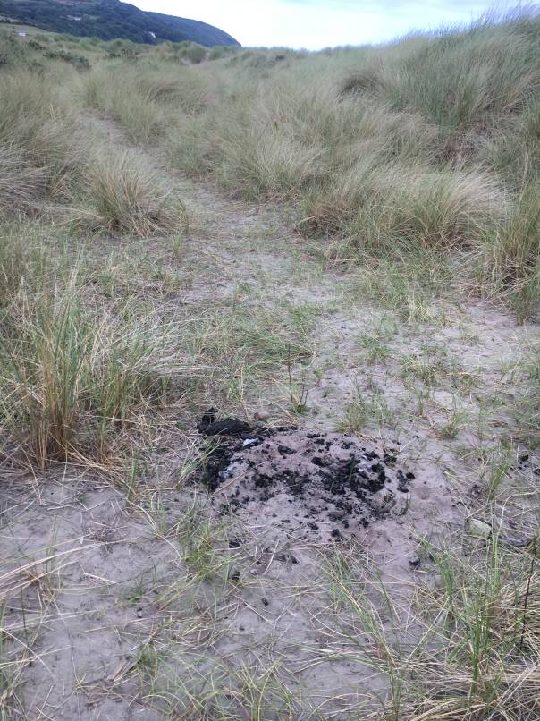 A discarded barbecue near vegetation