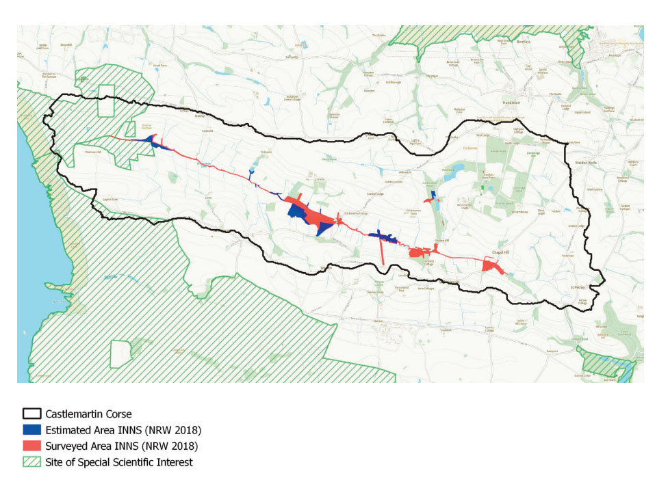 Map of Castlemartin Corse showing Himalayan Balsam with (blue) polygons were verfied and in 2 instances the red (verified) polygons were extended in the area. 