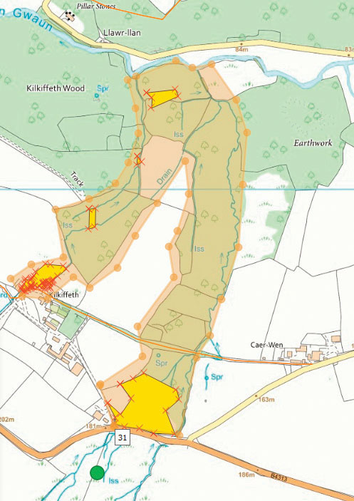 Map showing Kilkiffieth Tributary of the Gwaun River yellow polygons represent the area infestation of Himalayan balsam, the orange polygon shows the area extent that also requires survey,