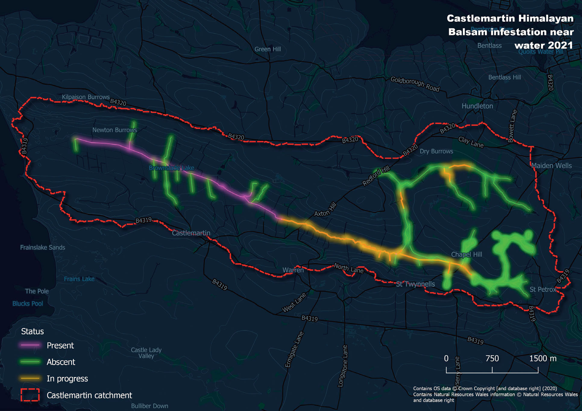 Firefly map showing the Castlemartin Corse catchment firefly lines, presence, absence and in progress, note the two satellite or isolated Himalayan balsam infestations (pink present, green absent, yellow in progress) in orange away from the main stream.