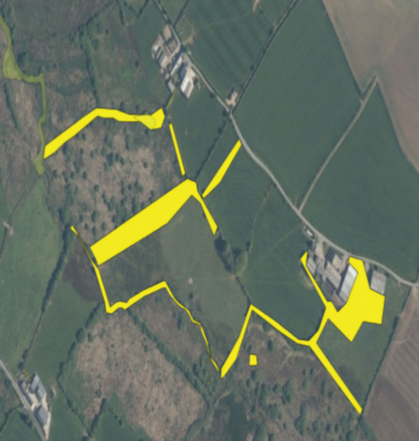 Map showing infestation of Himalayan balsam infestation 2015-2021. Yellow areas showing balsam density