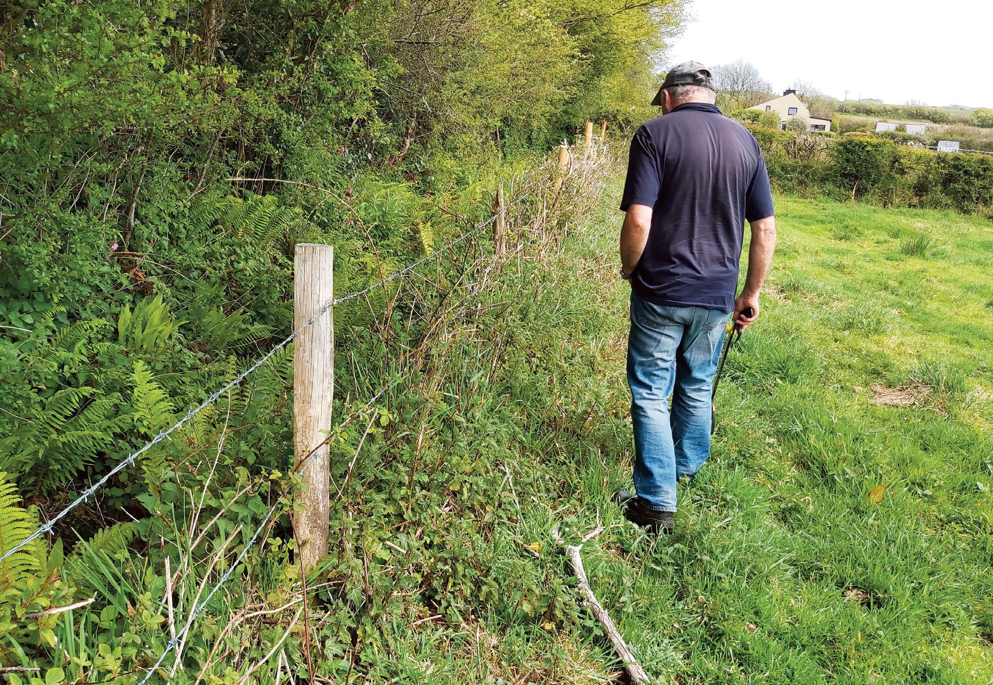 Landowner monitoring a ditch for Himalayan balsam in the upper reaches of the Castlemartin Corse catchment, Pembrokeshire, Wales, UK