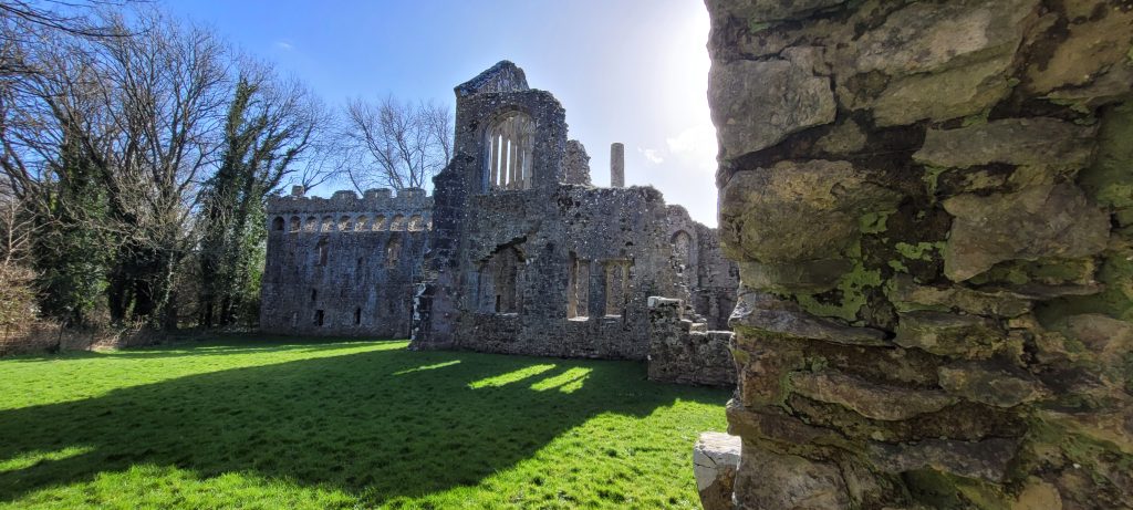 Ruined stone Bishop&#039;s Palace building in a grassy field with bare trees alongside on a sunny day. Location is Lamphey Bishop&#039;s Palace, Pembrokeshire
