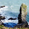 Ruth Ashworth Bosherston to Stack Rocks 2014 Limestone stack jutting out of the sea next to a grassy cliff edge with rough seas lapping the shore
