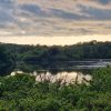Sarah Lily Ponds 2022 View across a serene pond surrounded by green trees. Location pictured is the Bosherston Lily Ponds, Pembrokeshire