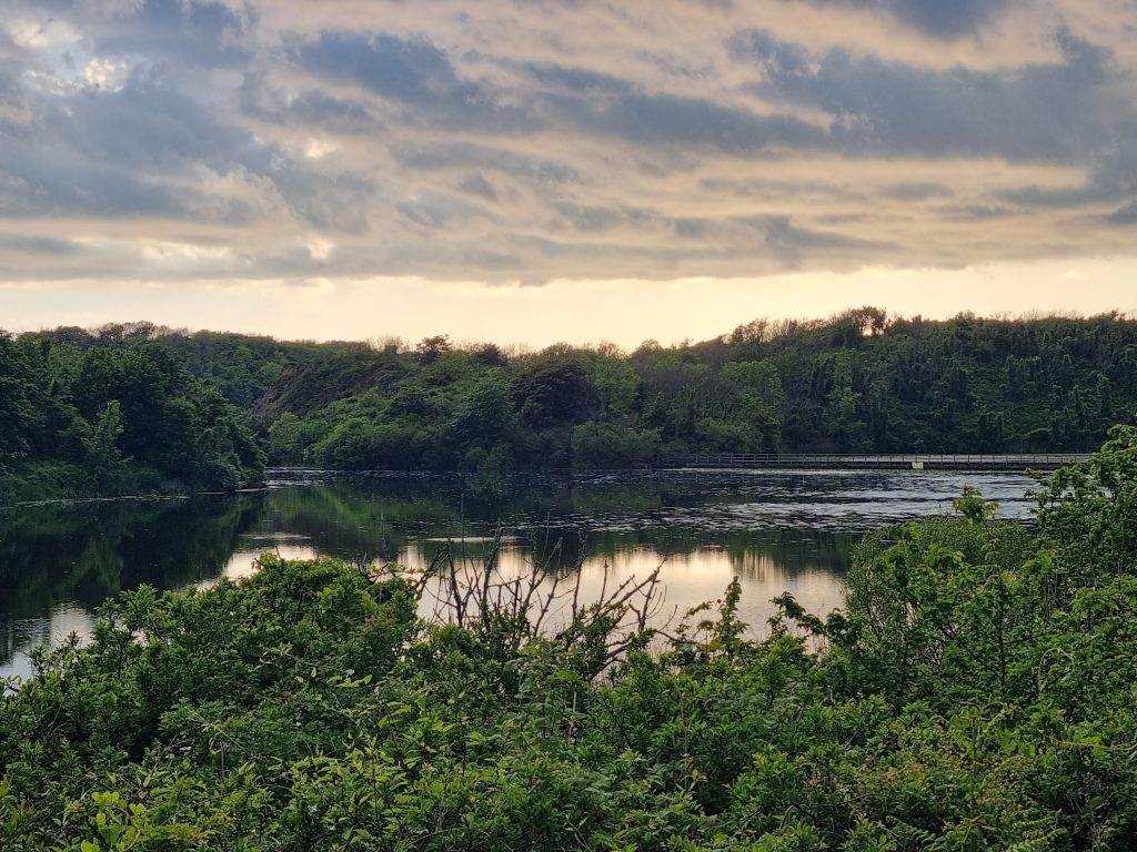 View across a serene pond surrounded by green trees. Location pictured is the Bosherston Lily Ponds, Pembrokeshire