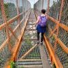 Person walking across a metal bridge enclosed on each side by a chain link fence