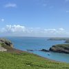 View across a green grassy clifftop out towards calm blue seas with a small boat floating on the surface and rocky headlands in the distance. Location pictured is Skomer Island, Pembrokeshire